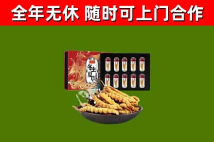 山丹烟酒回收冬虫夏草礼盒.jpg